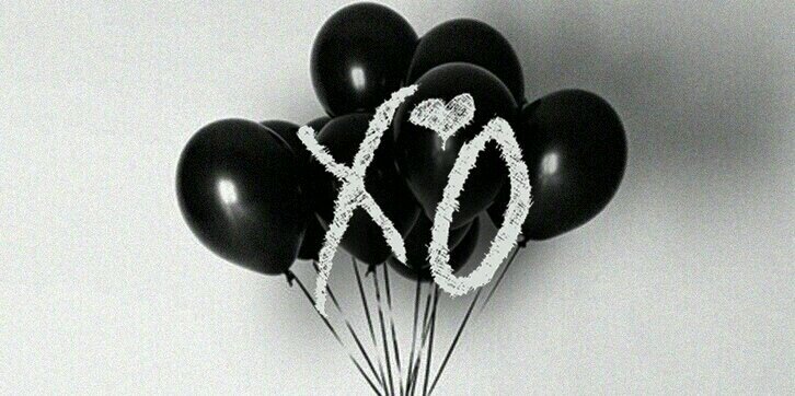 xoShauny's profile banner image