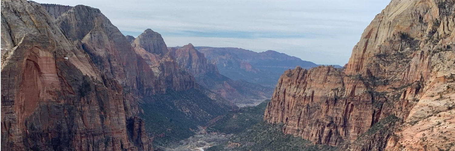 Carisa Bohnak, MD banner