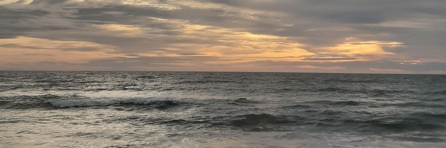 honey girls banner
