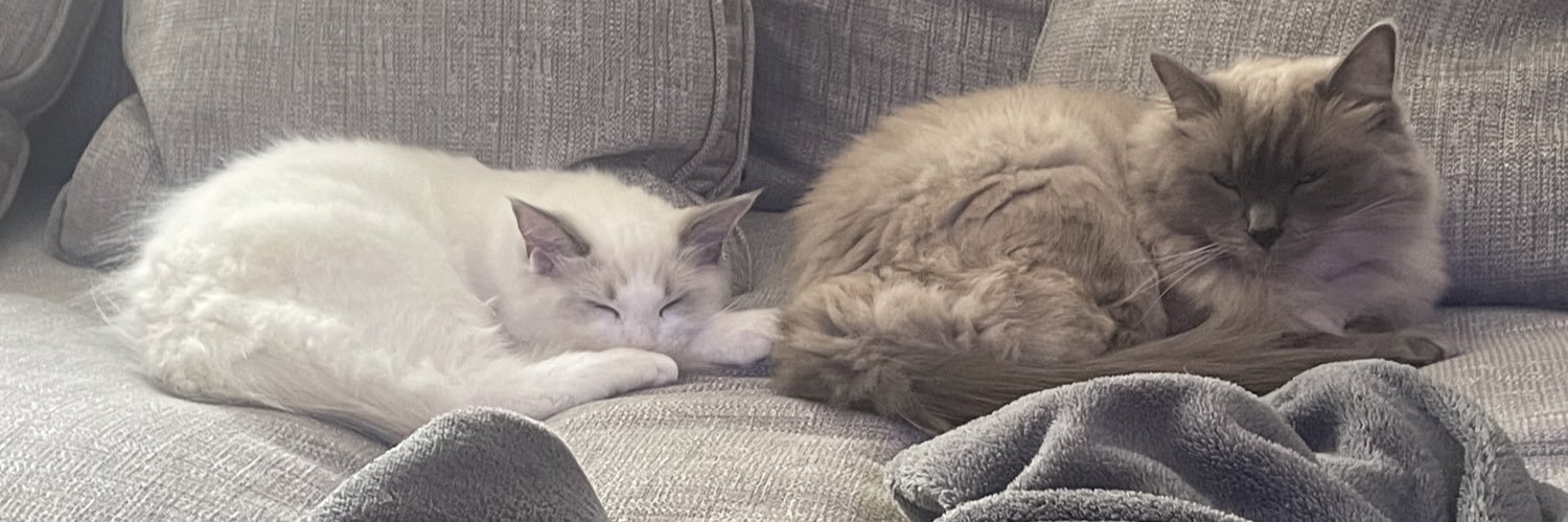 Gemma Hunt (cino) she/her banner