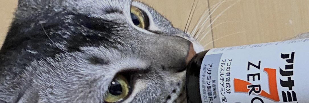 tancoma0824k's profile banner image