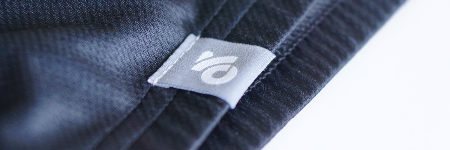 Champion System banner