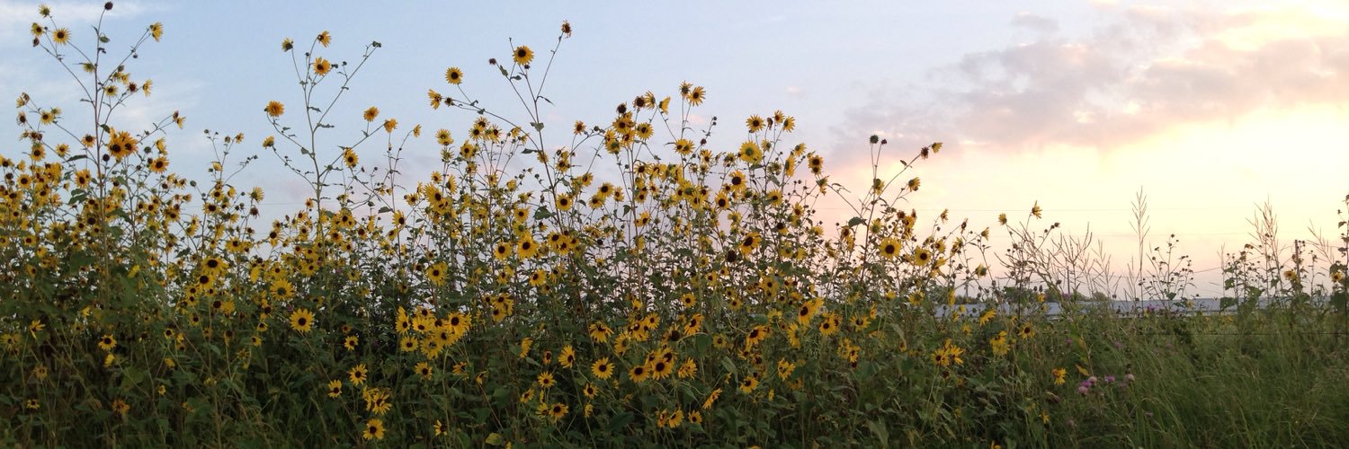 Sarah Hancock 🌾🌾🌾 banner