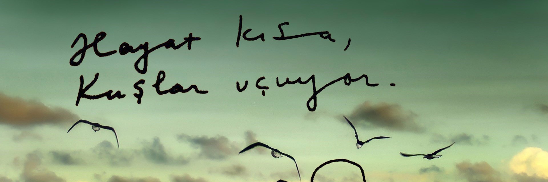 tekbarak's profile banner image