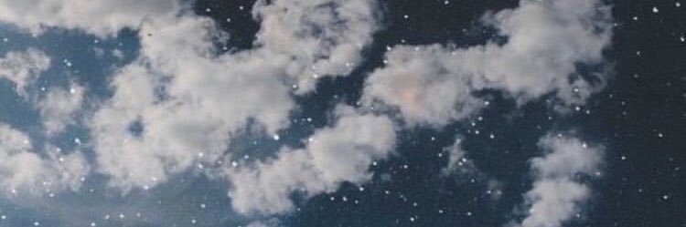nicollejsb's profile banner image
