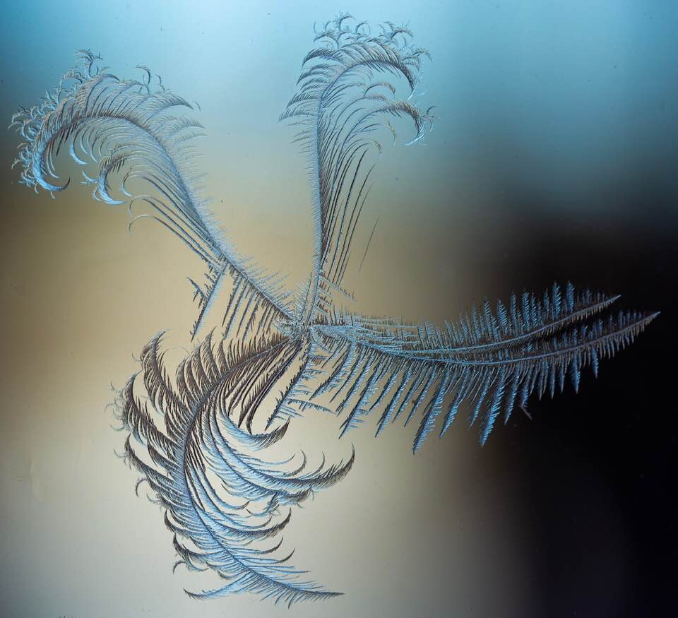 All American💃All the time💖🤍💙 banner