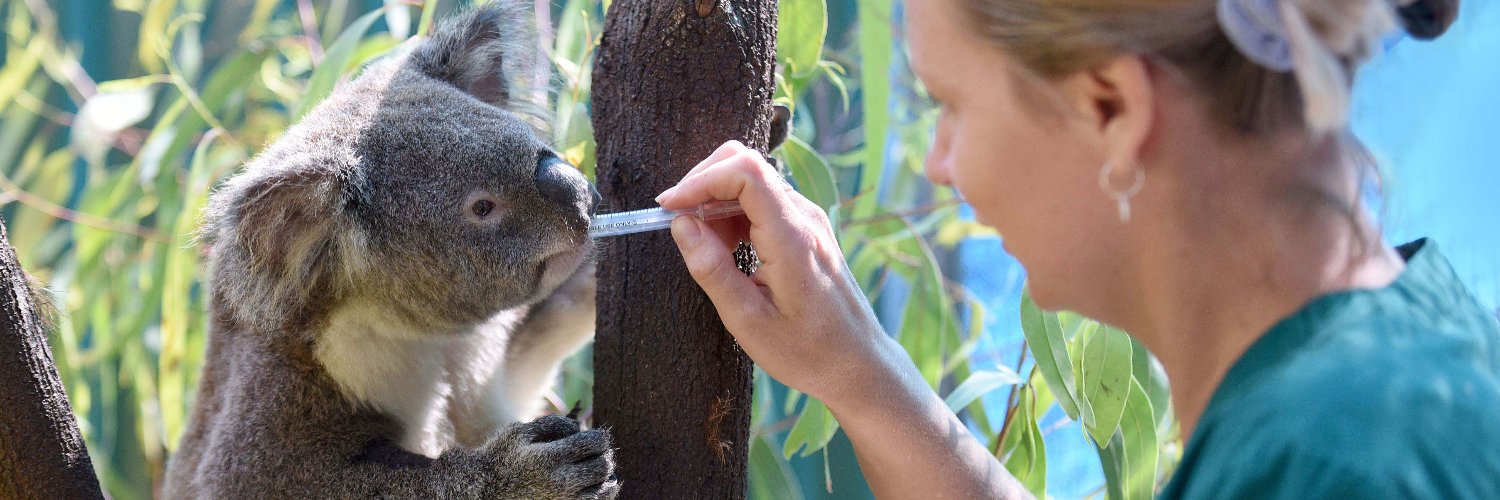 Currumbin Wildlife Hospital banner