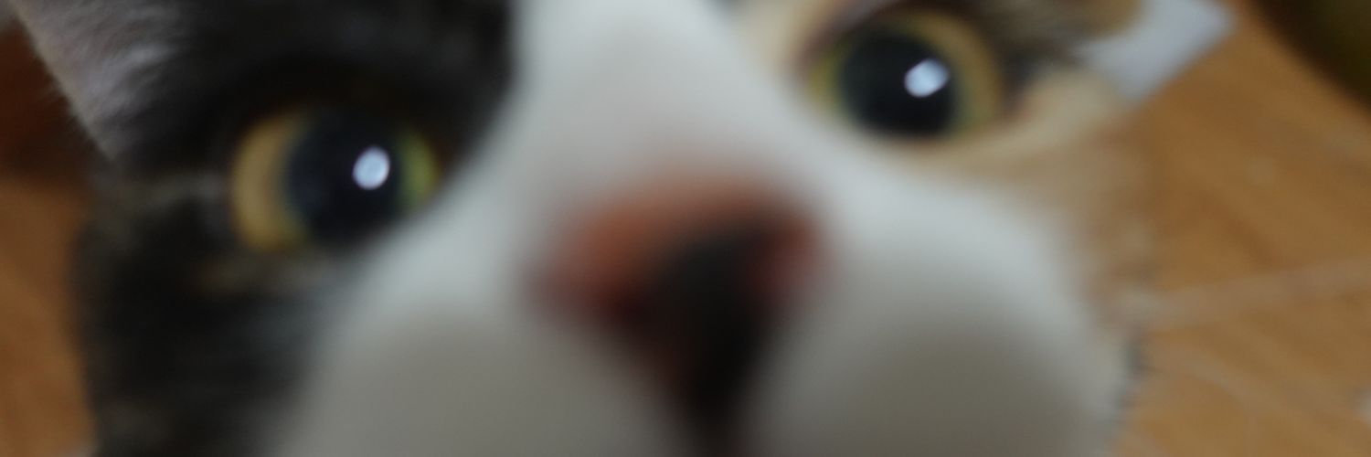 kurage banner
