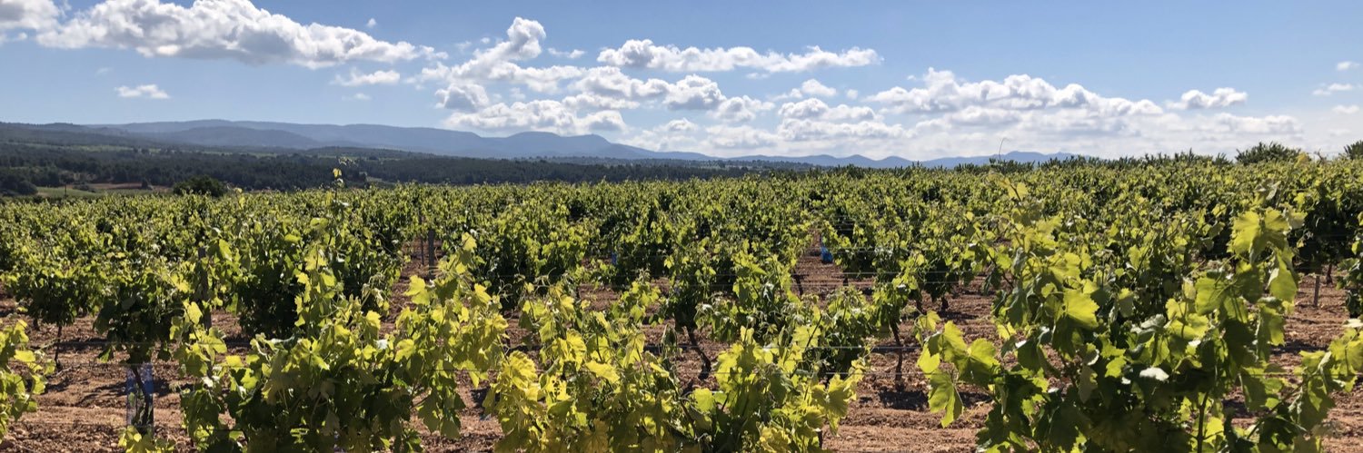 Antonio Olmos banner