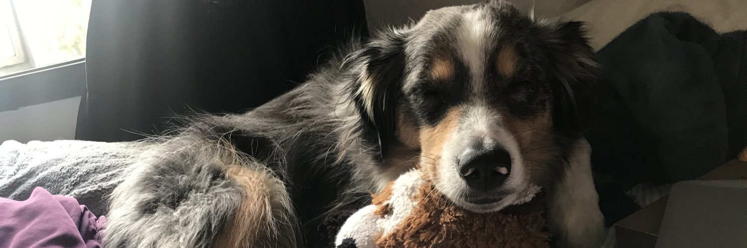 Jessica Howell banner