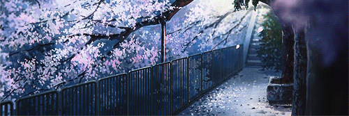 p00rb0ner's profile banner image