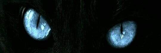 hclever01's profile banner image