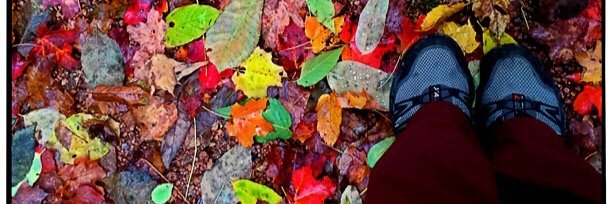 jkbeitz's profile banner image