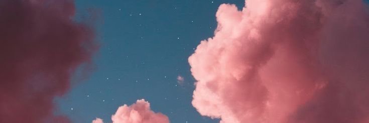 haleyshorkey's profile banner image