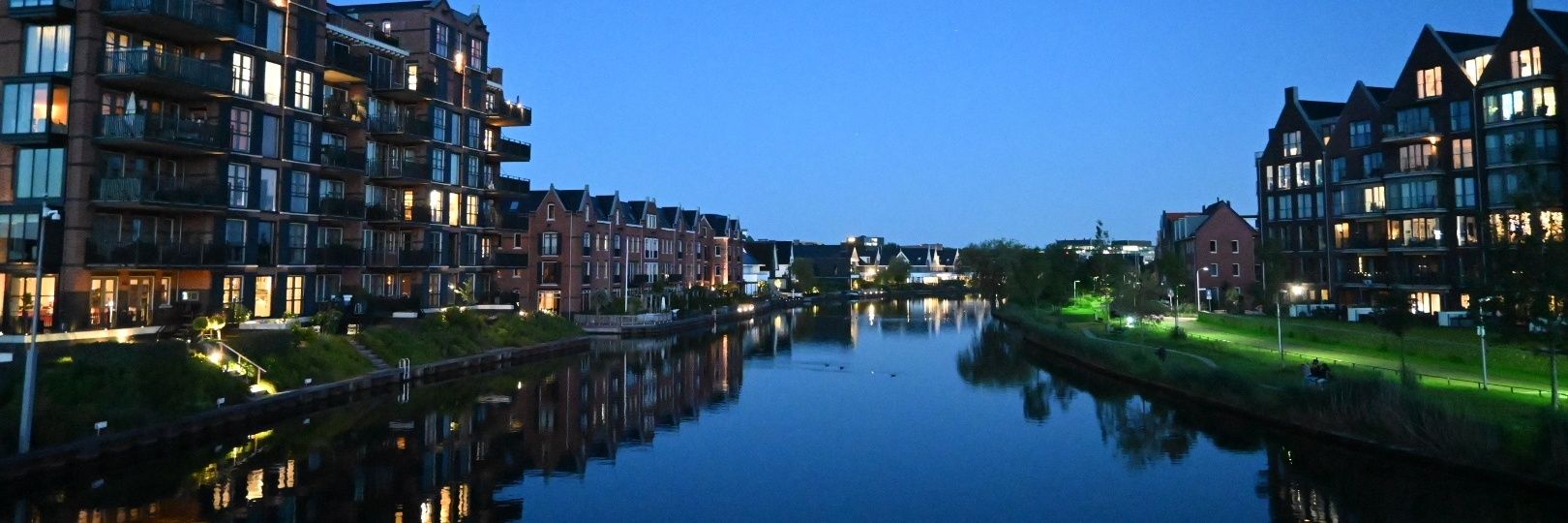 Steven Russchenberg 🏴‍☠️🌱☢️ banner