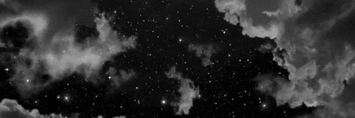 leloonaa's profile banner image