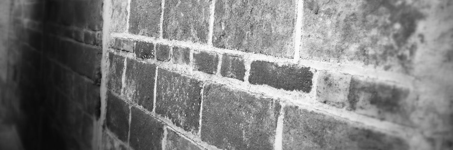 LuisRoblesGlez's profile banner image