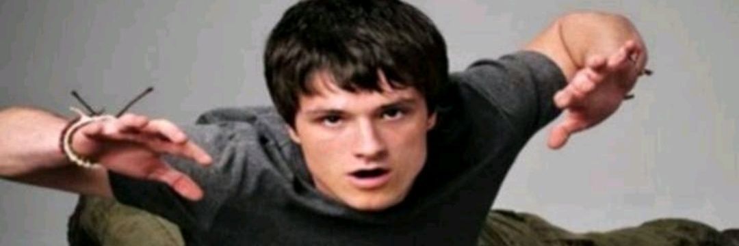 enjoyer banner