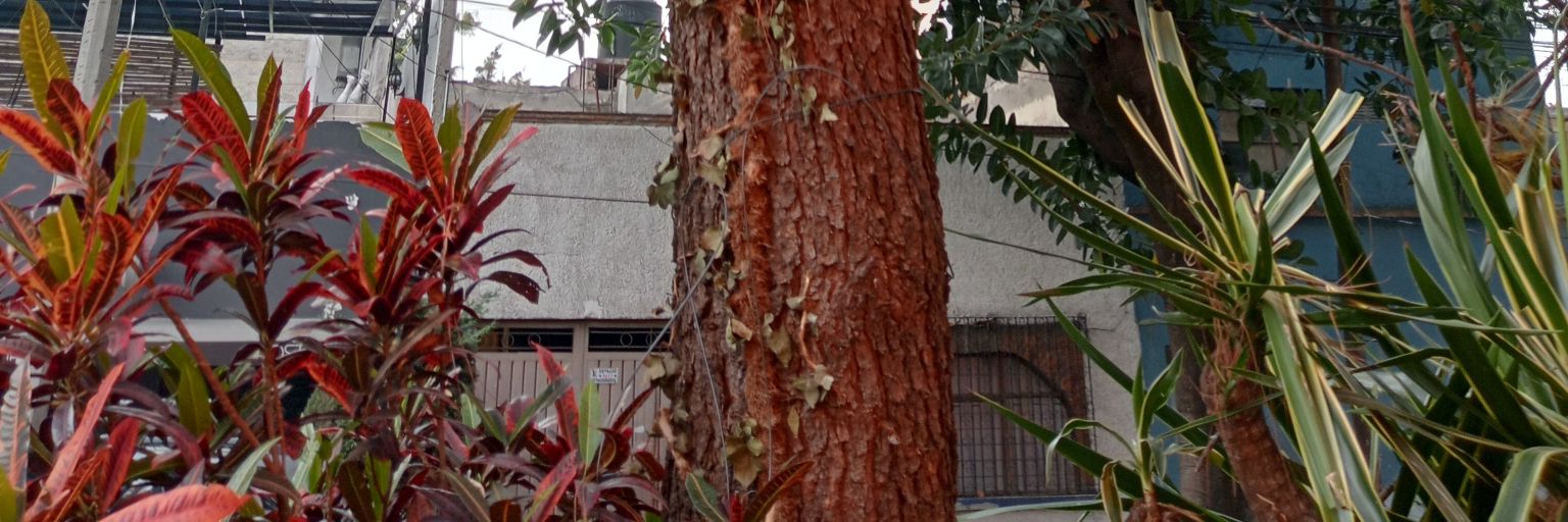 JCRISALEX's profile banner image