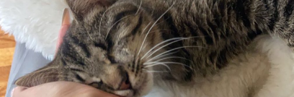 beekabae's profile banner image