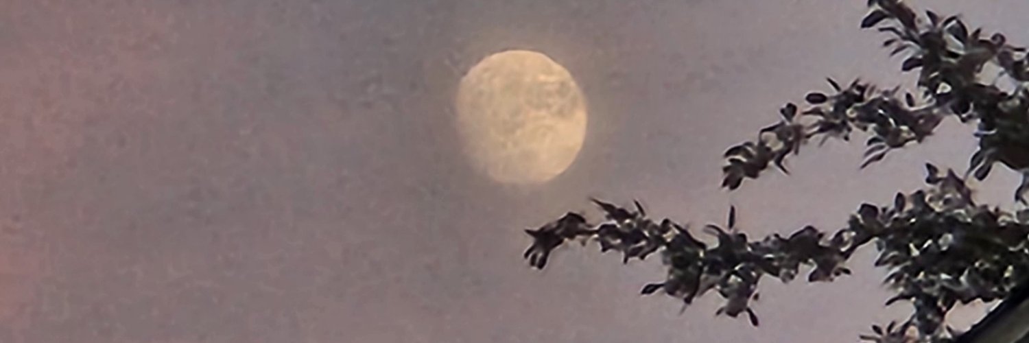 LyraDnD's profile banner image