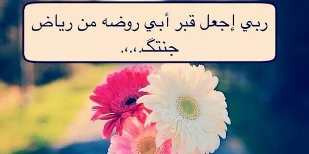 aymanmansour76's profile banner image