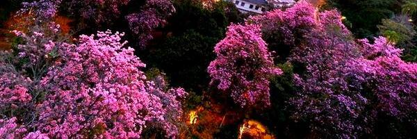 ESTRELLAMARYS's profile banner image