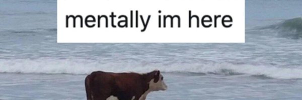 FoksiNoksi Profile Banner