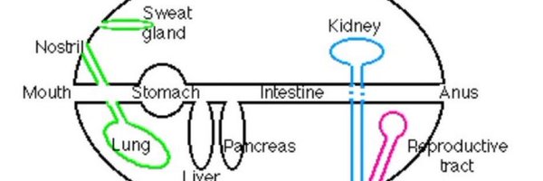 sasainfection Profile Banner