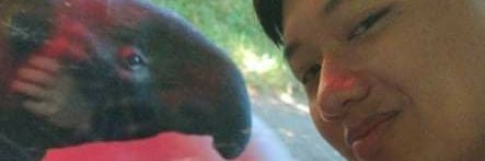 alexyeez's profile banner image