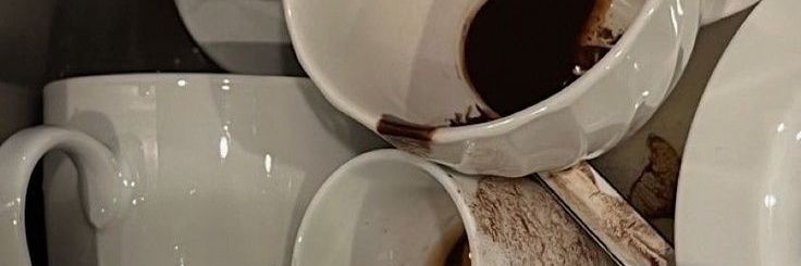 D. Litani ♡ banner