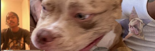 4r4ny's profile banner image