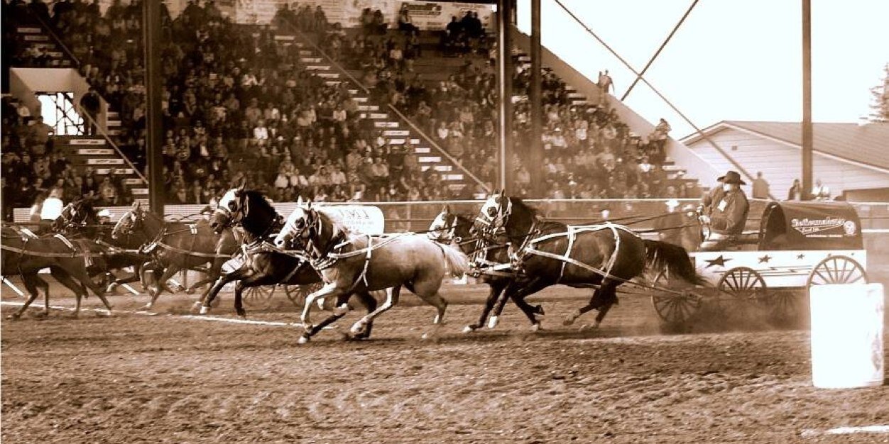 chuckwagon5's profile banner image