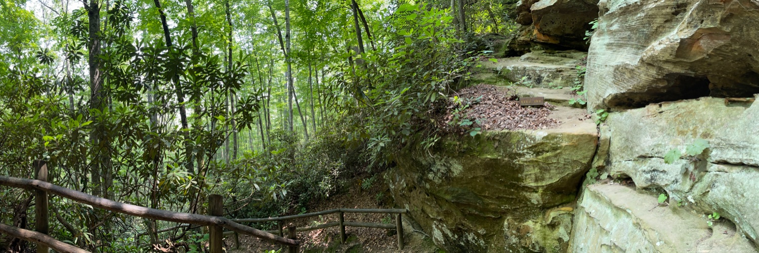 Stephen George banner