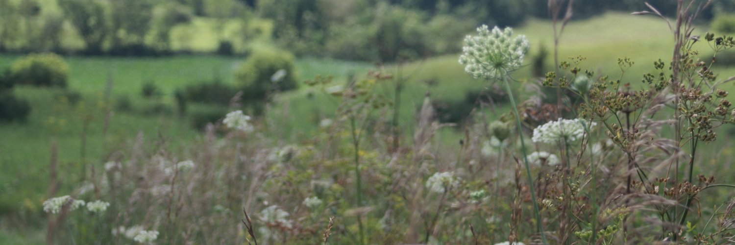 JanetSilb's profile banner image