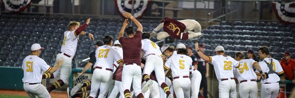 TDellerman Profile Banner