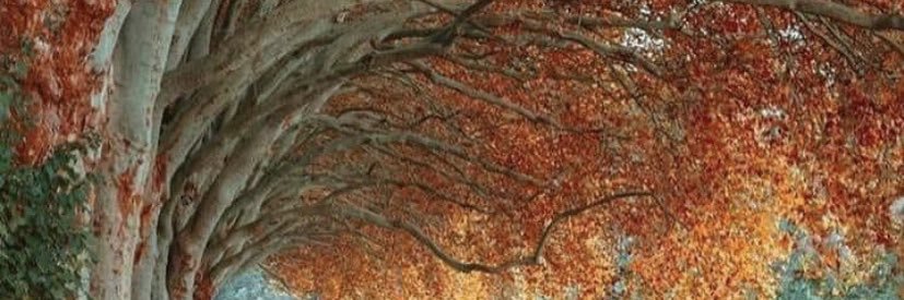 DAHinnant's profile banner image