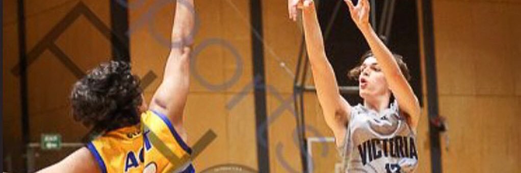 KobeShewry6's profile banner image