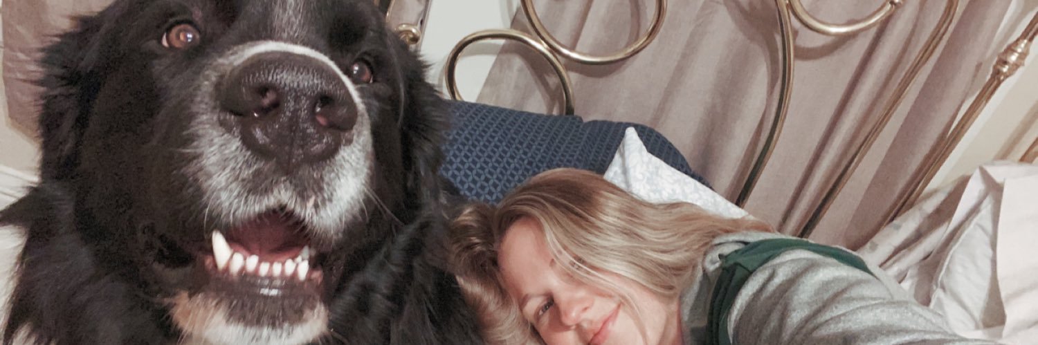 Rylee banner