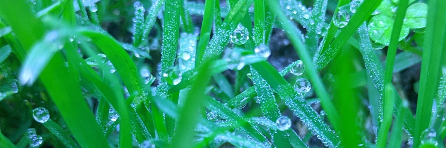 40tena2020's profile banner image