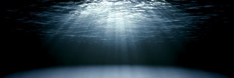Random Shark's banner