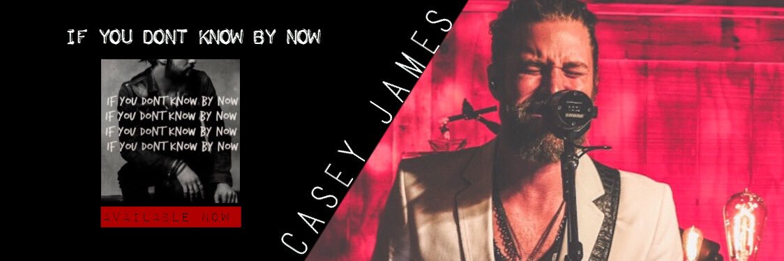 Casey James banner
