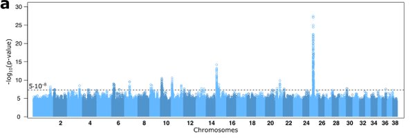 andersbrgstrm Profile Banner