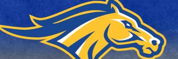 WStawie's profile banner image