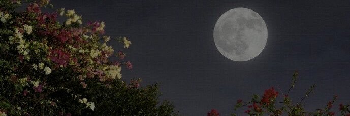 ☆'s banner