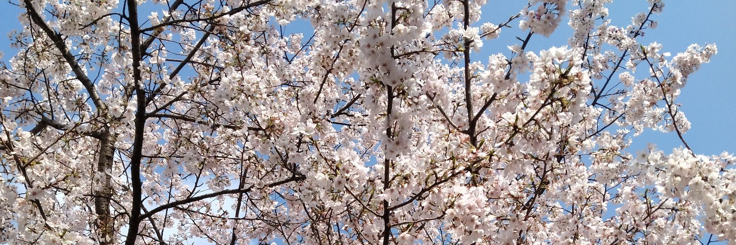 sagamiako's profile banner image