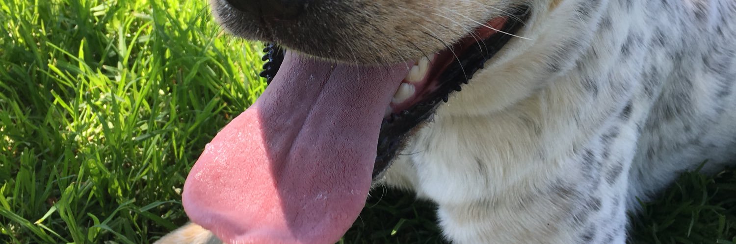 jwil408's profile banner image