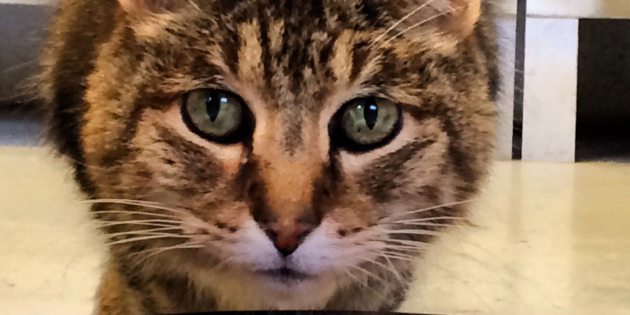 kbeasy45's profile banner image