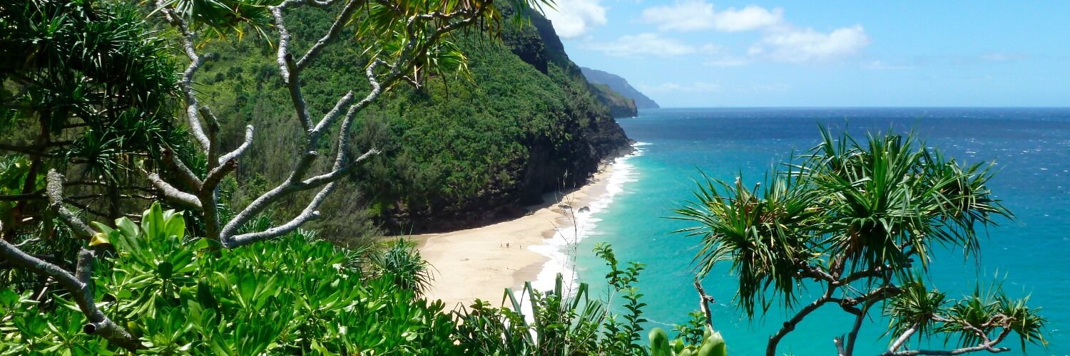 Ryan Simonson banner