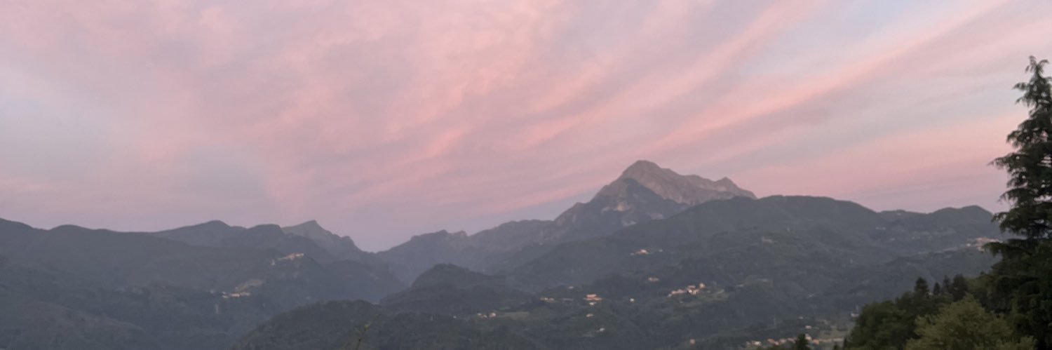 Haley Appel banner
